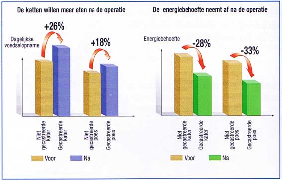 Sterilisatie kat: Een poes en een kat nemen de eerste maanden na de sterilisiatie cq castratie meer voedsel op en hebben tegerlijkertijd een lagere energiebehoefte. Let hierop gedurende de eerste 3 maanden na de operatie dan voorkom je dat je kat na de sterilisatie of castratie te dik wordt. 